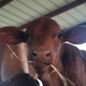 Meet your Posher, Rebecca